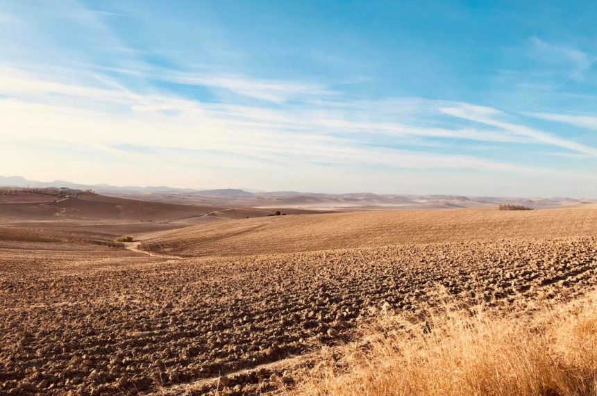 Andalucìa Rally: Livello Dakar, sbloccato!